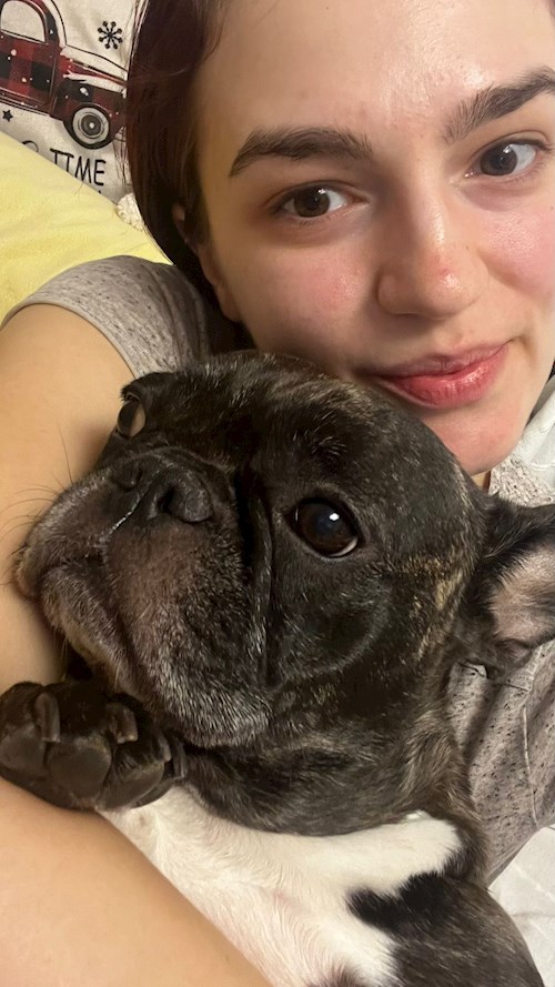 Andra- petsitter București vagy Állat szitter a kutyák cicák 