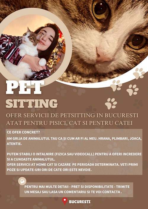 Anghel- petsitter București vagy Állat szitter a kutyák cicák 