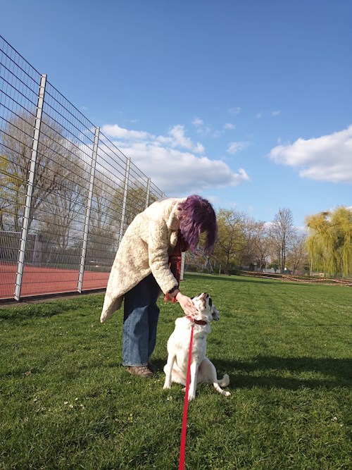 Kseniia- petsitter București or Pet nanny for dogs cats 