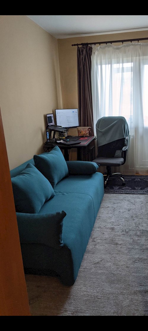 Raluca- petsitter Iași vagy Állat szitter a kutyák cicák 