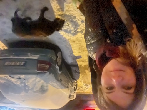 Gabriela- petsitter București sau Bonă pentru animale pentru câini pisici 