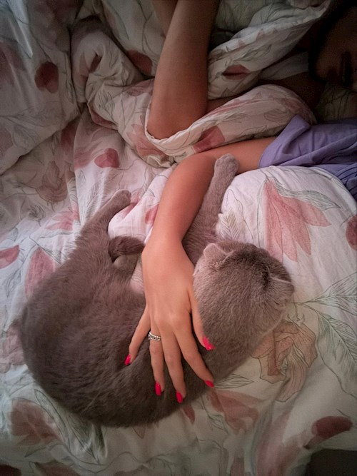 Stefania- petsitter Cluj-Napoca sau Bonă pentru animale pentru câini pisici 