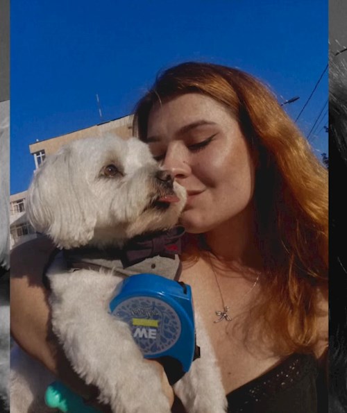 petsitter București sau Bonă pentru animale pentru Câini Pisici 