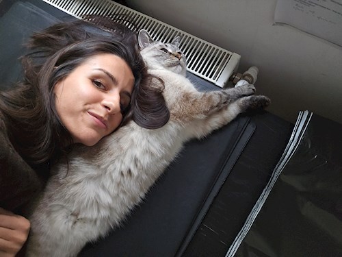 Elena- petsitter București vagy Állat szitter a cicák 