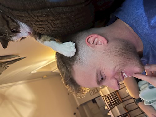 Dalton- petsitter Timișoara sau Bonă pentru animale pentru câini pisici 