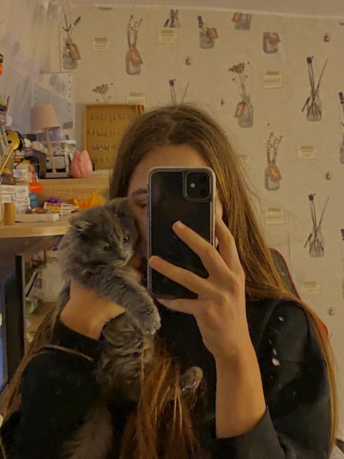 Cozlov- petsitter București or Pet nanny for dogs cats 