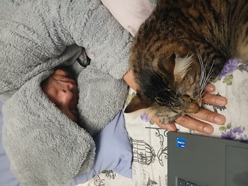 Mitrica- petsitter București vagy Állat szitter a kutyák cicák 