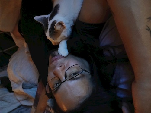 Mitrica- petsitter București vagy Állat szitter a kutyák cicák 