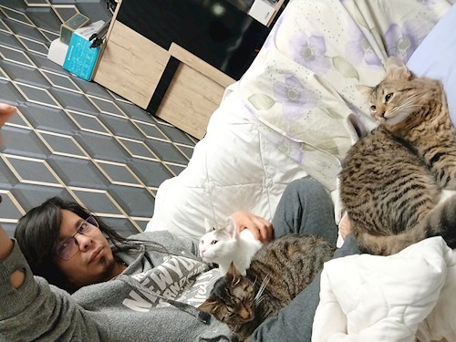 Mitrica- petsitter București vagy Állat szitter a kutyák cicák 