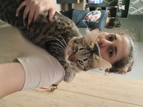 Mitrica- petsitter București vagy Állat szitter a kutyák cicák 