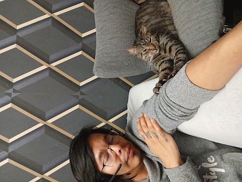 Mitrica- petsitter București vagy Állat szitter a kutyák cicák 