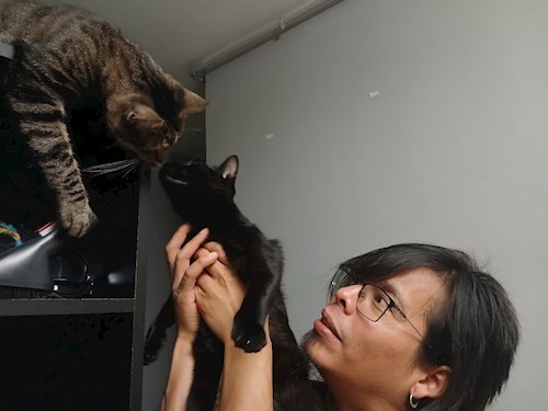 Mitrica- petsitter București vagy Állat szitter a kutyák cicák 