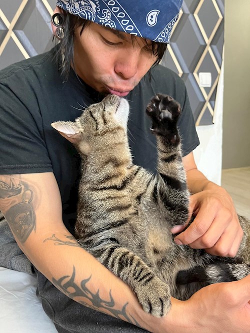 Mitrica- petsitter București vagy Állat szitter a kutyák cicák 