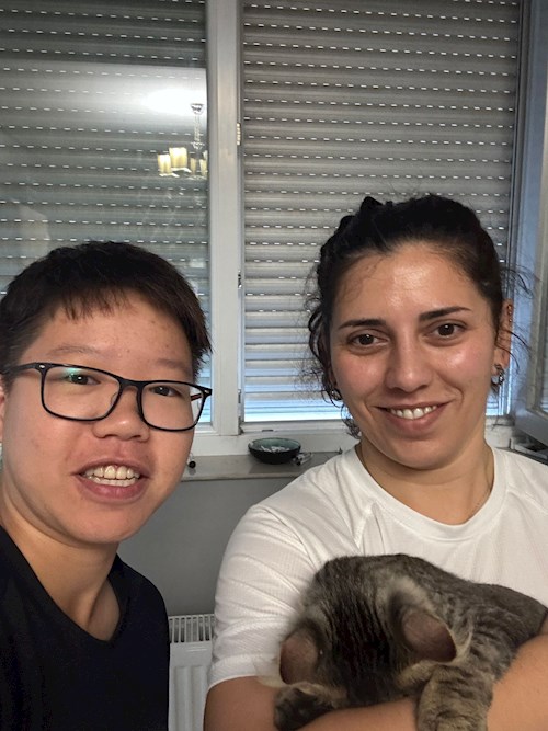 Mitrica- petsitter București vagy Állat szitter a kutyák cicák 