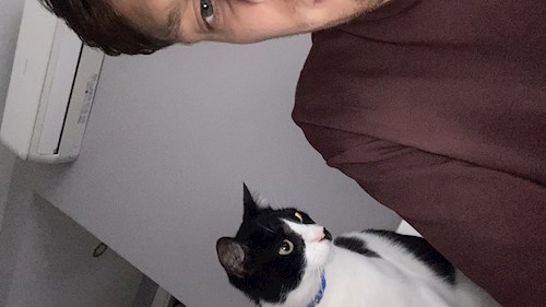 Callum- petsitter București or Pet nanny for dogs cats 