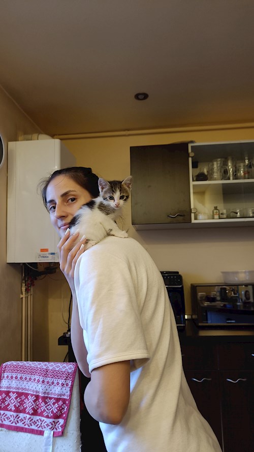 Laura- petsitter Târgu Mureș or Pet nanny for dogs cats 