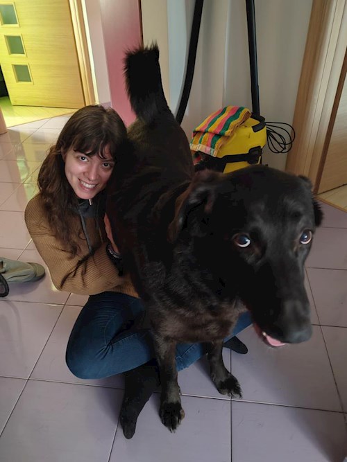 Miruna- petsitter București or Pet nanny for dogs cats 