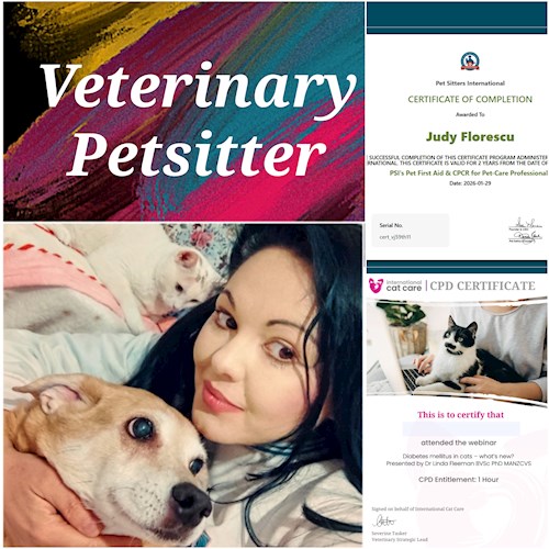 Judy- petsitter București sau Bonă pentru animale pentru câini pisici 