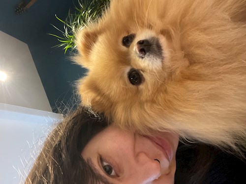 Miruna- petsitter București or Pet nanny for dogs cats 