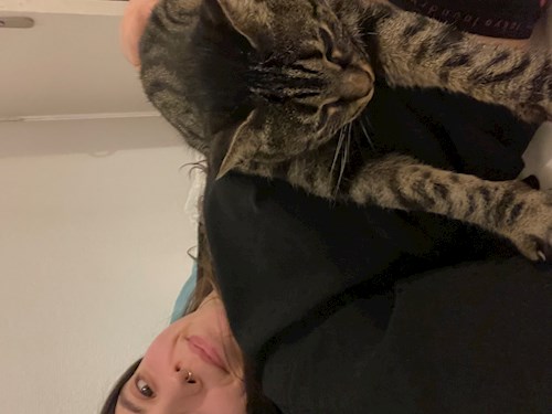 Miruna- petsitter București or Pet nanny for dogs cats 