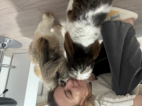 Gina- petsitter București or Pet nanny for dogs cats 