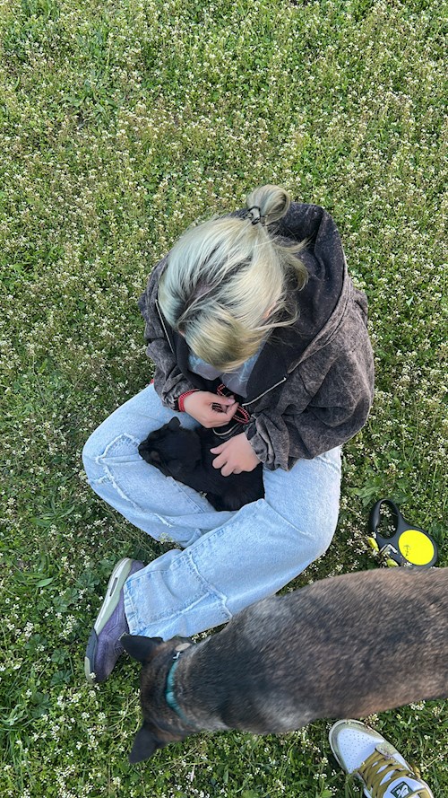 Iancu- petsitter București or Pet nanny for dogs cats 