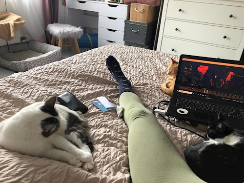 Ana- petsitter Corunca or Pet nanny for dogs cats 