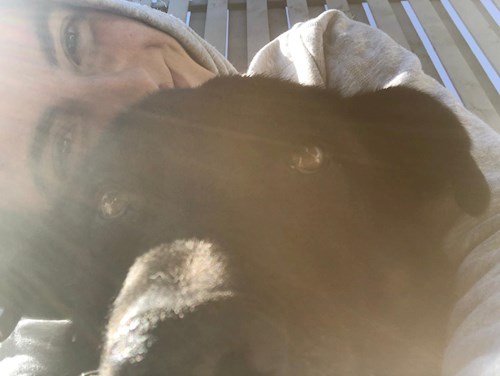 Ana- petsitter Corunca or Pet nanny for dogs cats 