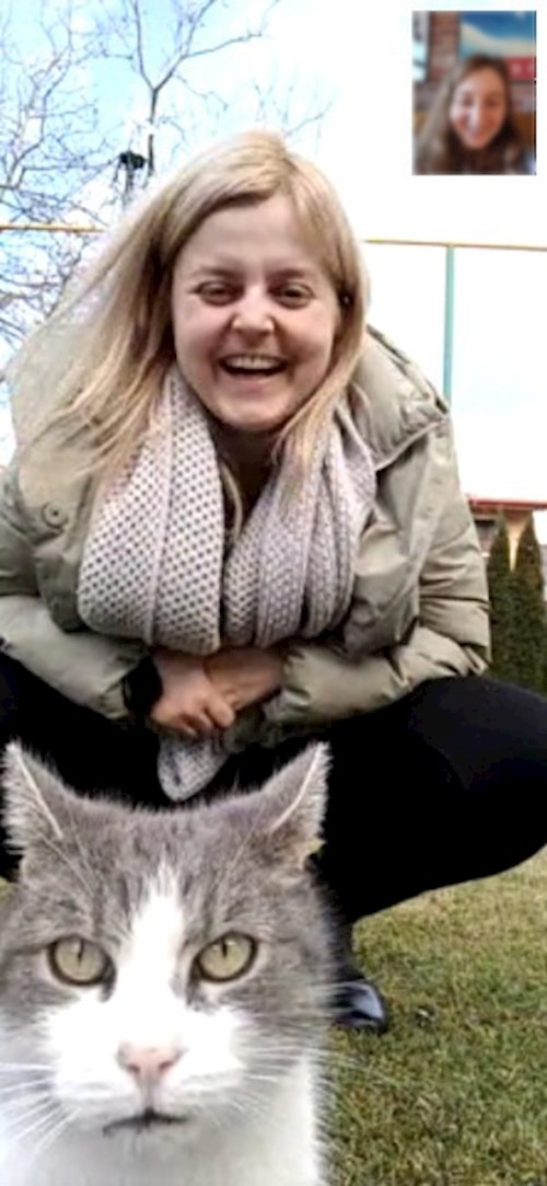 Anitsirc- petsitter Cluj-Napoca sau Bonă pentru animale pentru pisici 