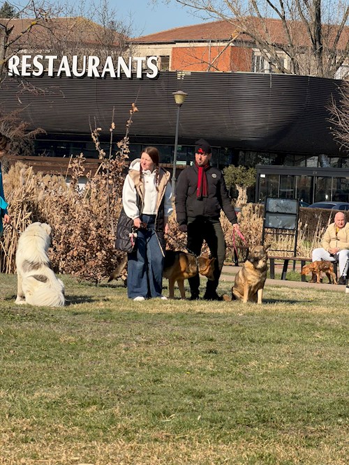 Iasmina- petsitter Oradea sau Bonă pentru animale pentru câini pisici 