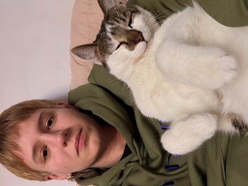 Mara- petsitter Cluj-Napoca or Pet nanny for dogs cats 