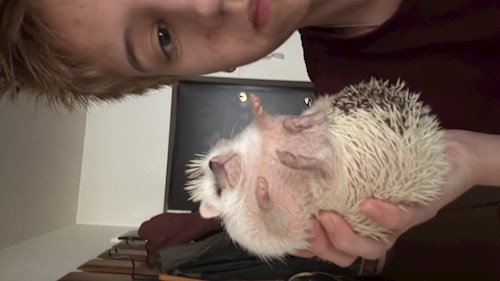 Mara- petsitter Cluj-Napoca or Pet nanny for dogs cats 