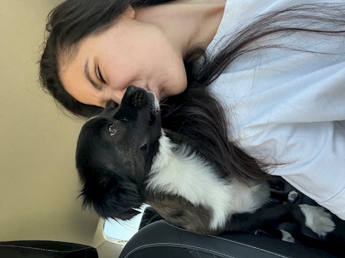 Mihai- petsitter București or Pet nanny for dogs cats 