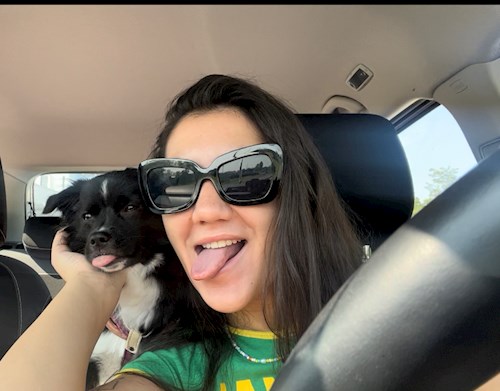 Mihai- petsitter București or Pet nanny for dogs cats 