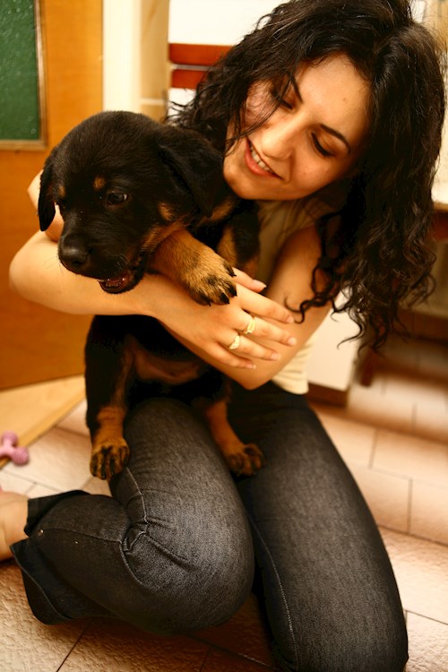 Elena- petsitter București vagy Állat szitter a kutyák cicák 