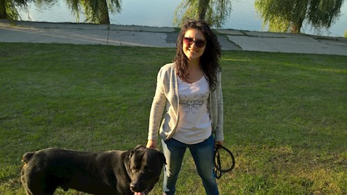Elena- petsitter București vagy Állat szitter a kutyák cicák 
