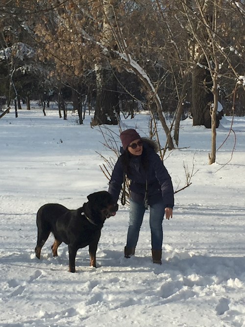 Elena- petsitter București vagy Állat szitter a kutyák cicák 