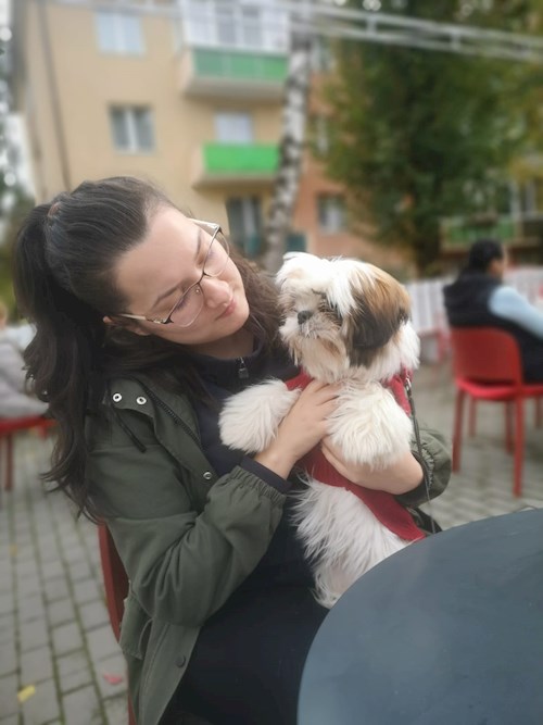 Patrintasu- petsitter Târgu Mureș vagy Állat szitter a kutyák cicák 