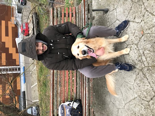 Patrintasu- petsitter Târgu Mureș vagy Állat szitter a kutyák cicák 