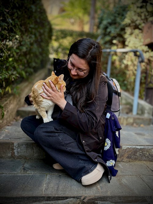 Patrintasu- petsitter Târgu Mureș vagy Állat szitter a kutyák cicák 