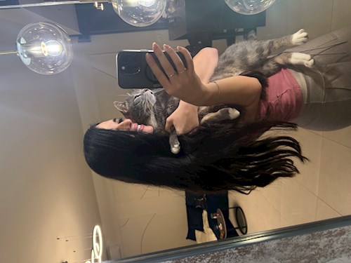 Saraev- petsitter Popești-Leordeni or Pet nanny for dogs cats 