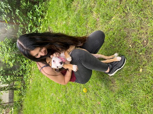 Saraev- petsitter Popești-Leordeni or Pet nanny for dogs cats 