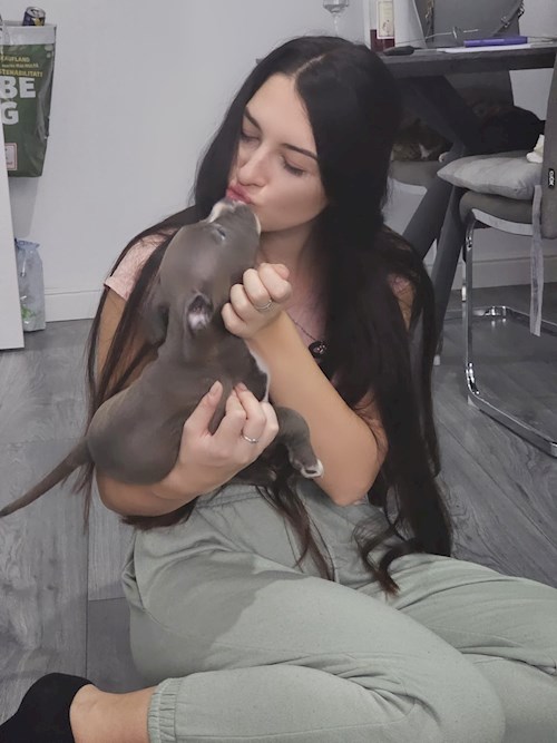 Saraev- petsitter Popești-Leordeni or Pet nanny for dogs cats 