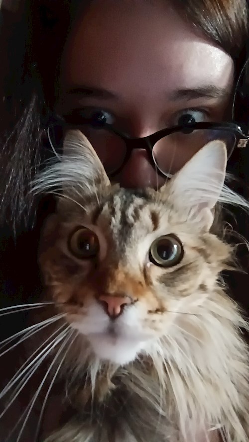 Memo- petsitter București sau Bonă pentru animale pentru câini pisici 