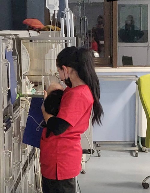 Bianca- petsitter București vagy Állat szitter a kutyák cicák 