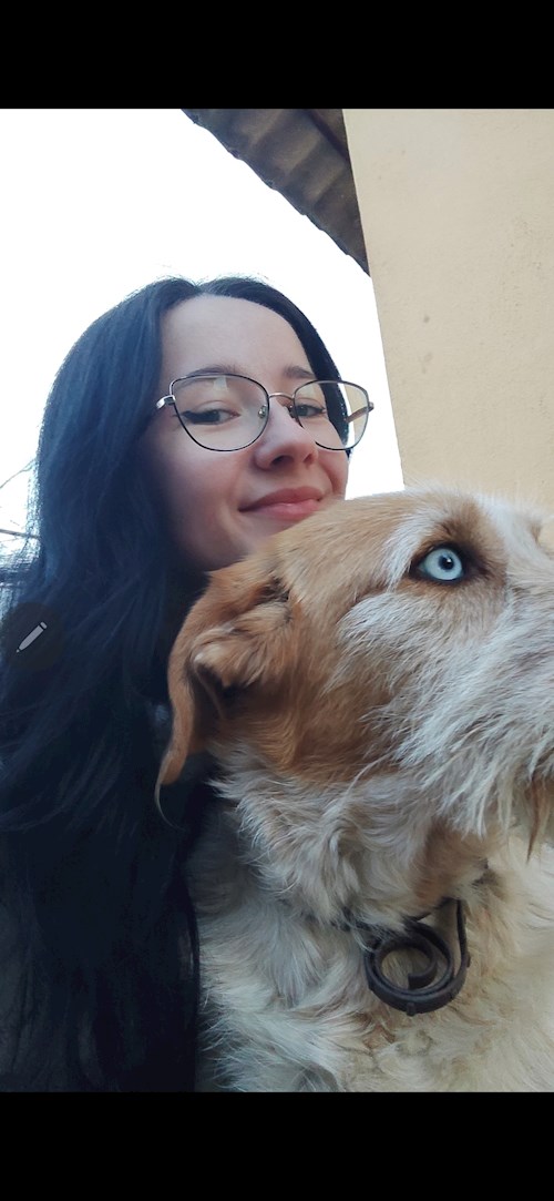 Bianca- petsitter București vagy Állat szitter a kutyák cicák 