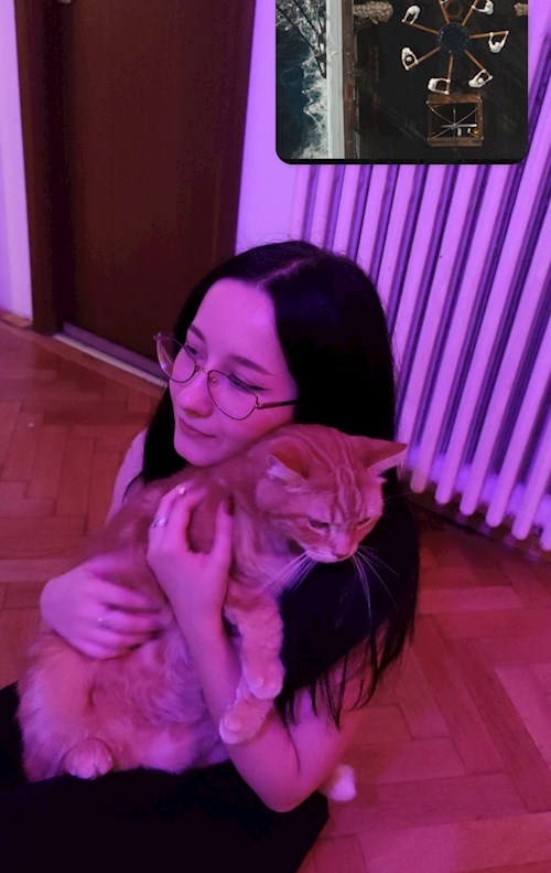 Bianca- petsitter București vagy Állat szitter a kutyák cicák 