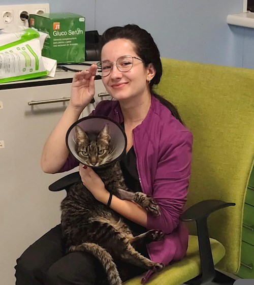 Bianca- petsitter București vagy Állat szitter a kutyák cicák 