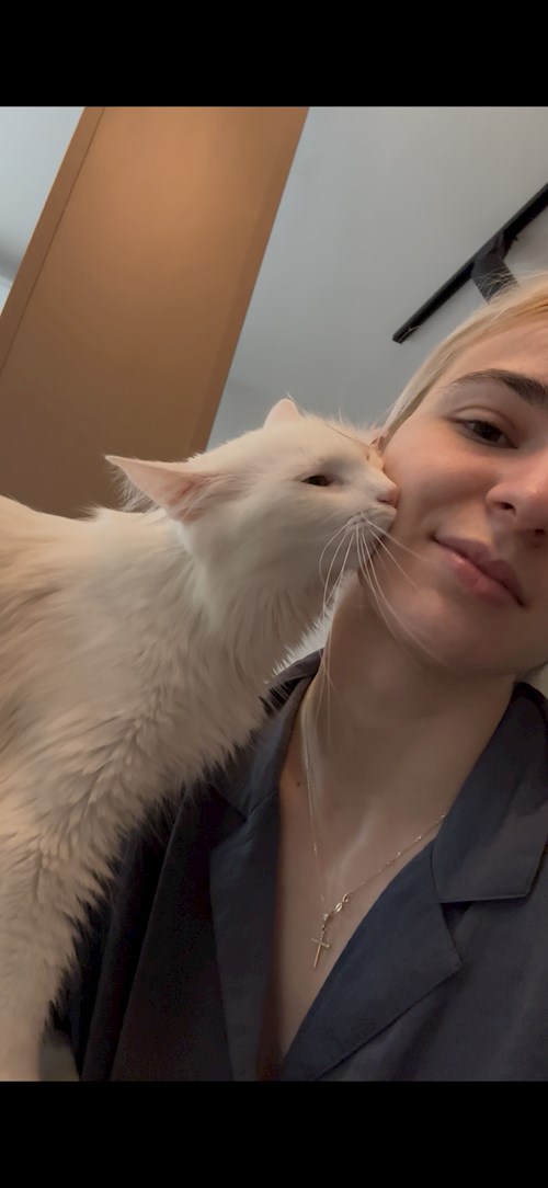 Culicovschi- petsitter Cluj-Napoca or Pet nanny for dogs cats 