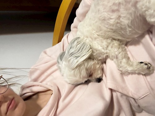 Culicovschi- petsitter Cluj-Napoca or Pet nanny for dogs cats 